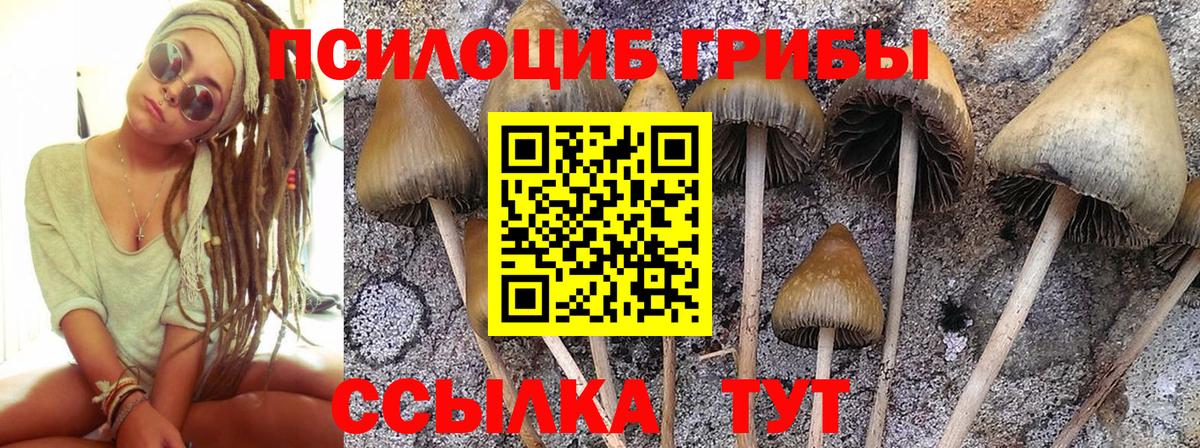 Псилоцибиновые грибы ЛСД Кингисепп