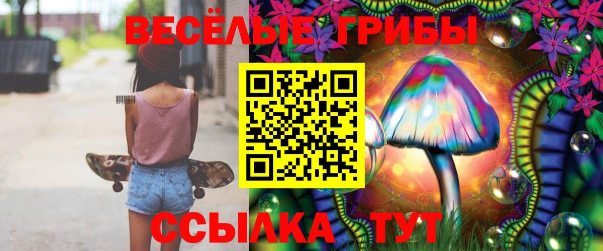 где можно купить   Галлюциногенные грибы GOLDEN TEACHER  Псилоцибиновые грибы ЛСД  Вход с VPN  Кингисепп 